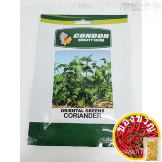 CORIANDER ORIENTAL GREENS HERB PLANT SEEDS BY CONDOR种子/儿童/香菜/生菜/芹菜/裙子/手链/通心菜/木瓜/玫瑰/ BN8M