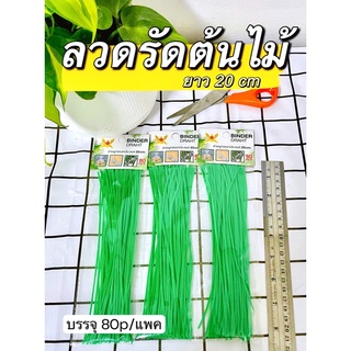 ลวดรัดต้นไม้✅ สายรัดต้นไม้ ลวดเขียว ลวดดัดกิ่ง ลวดอเนกประสงค์ ยาว 20cm บรรจุ 80 ชิ้น ตัดแล้วพร้อมใช้งาน