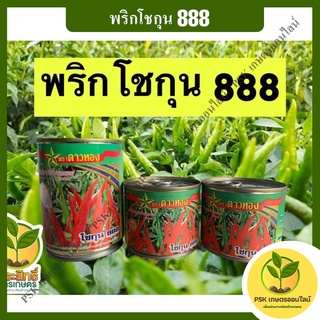 พริกโชกุน888 (PSK เกษตรออนไลน์)