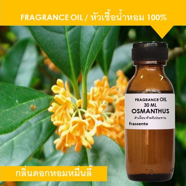 OSMANTHUS FRAGRANCE OIL หัวเชื้อน้ำหอม กลิ่นดอกหอมหมื่นลี้ พรีเมียม เข้มข้น ติดทนนาน