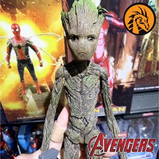 🔥พร้อมส่ง🔥โมเดล Guardians of the Galaxy กรู๊ท Groot Scale 1 : 6 ขนาด 30 ซม. เกรดพรีเมี่ยมขั้นสุด งานเทพมาก สวยสุดๆคับผม❤