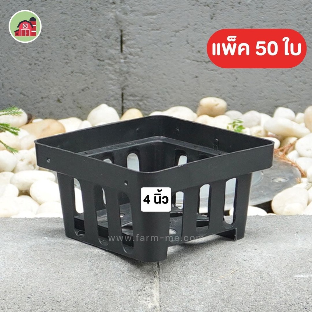 กระถาง กระถางกล้วยไม้ สี่เหลี่ยม 4นิ้ว 50ใบ ราคาขายส่ง