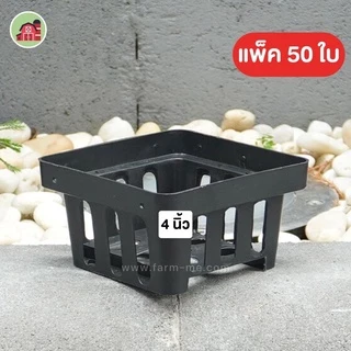 กระถาง กระถางกล้วยไม้ สี่เหลี่ยม 4นิ้ว 50ใบ ราคาขายส่ง