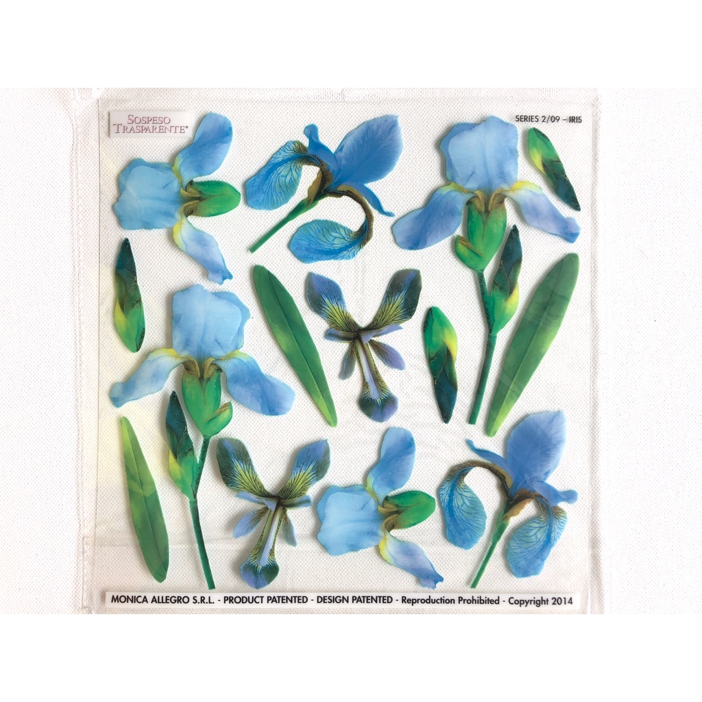 Sospeso Transparente Series 2-09 Iris