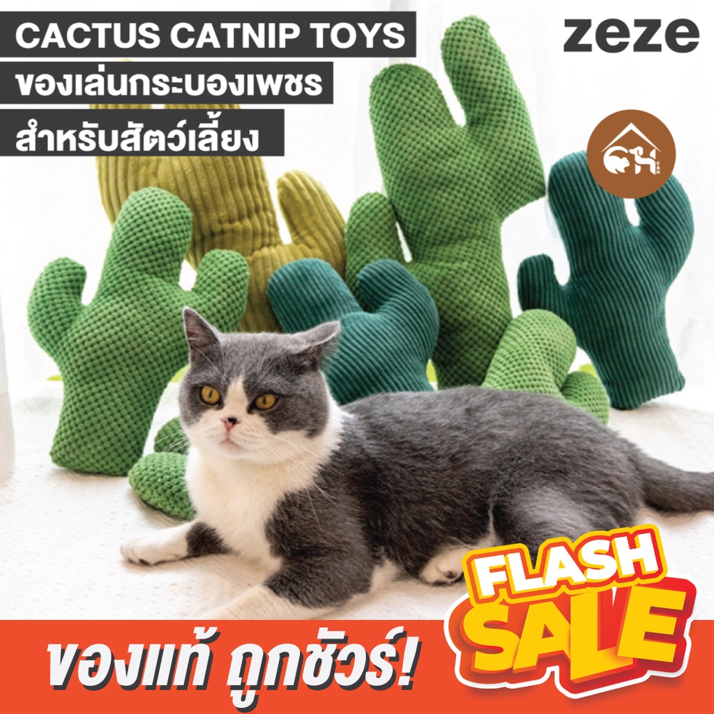 [ของแท้]🔥ถูกสุด! พร้อมส่ง🔥 zeze CACTUS CATNIP TOY ของเล่นกระบองเพชร สำหรับสัตว์เลี้ยง