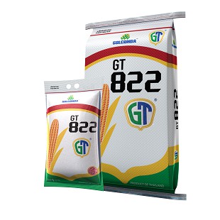 เมล็ดข้าวโพด 🌽 GT822 (จีที 822) 🌽 3.5 หุน (ขนาด 1 กก.)💥ของใหม่💥หมดอายุ 31/10/2023