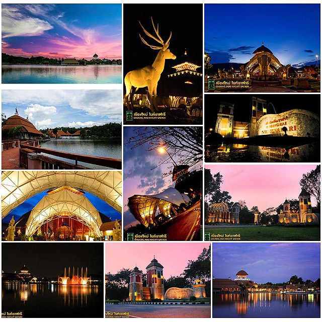 [E-Ticket] เชียงใหม่ไนท์ซาฟารี Chiang Mai Night Safari