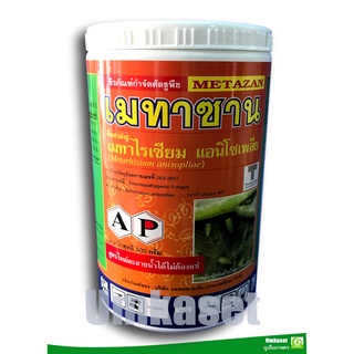 เมทาซาน เชื้อรา เมตาไรเซียม อะนิโซเพล (Metarhizium anisopliae) ขนาด 500 กรัม