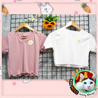 ลดล้างสต็อค! เสื้อลายดอกเดซี่ // มี 2 สี มือหนึ่ง พร้อมส่ง!