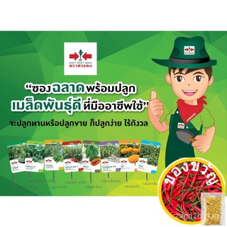 เมล็ดอวบอ้วน100%，ไทยในสต็อกพร้อมส่งEast-West Seed เมล็ดพันธุ์มะระจีน (Bitter gourd seeds) เขียวหยก 16 F1 เมล็ดพันธุ์ผัก