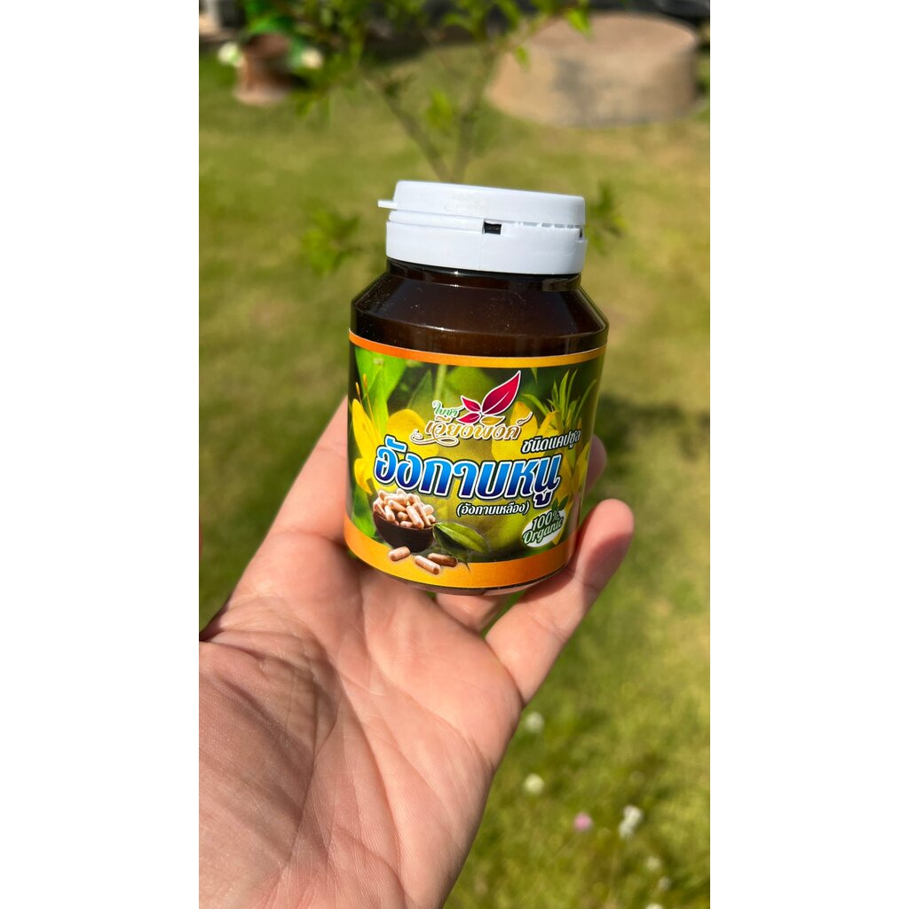 อังกาบหนู ชนิดแคปซูล 100 เม็ด Porcupine flower สมุนไพรอังกาบหนู ปลูกแบบออแกร์นิค ปลูกเองในพื้นที่กว่