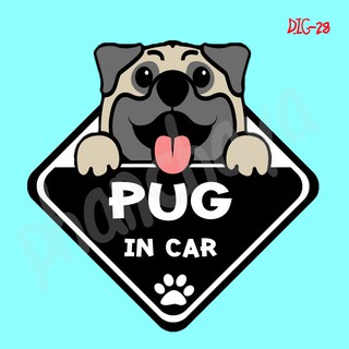 DIC28 สติ๊กเกอร์ ติดรถ PUG Dog In Car สติ๊กเกอร์ติดรถ แต่งรถ car sticker