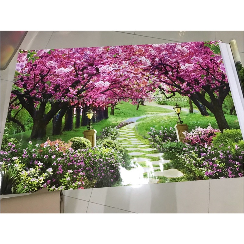 ไม่ใช่สติ๊กเกอร์(มีหลายแบบค่ะ)รูปภาพซากุระ รูปวิว ภูเขา ทิวลิป อื่นๆ รูปภาพโปสเตอร์ติดผนัง - รูปที่ 3