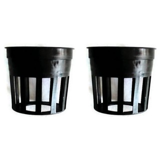 Papamami Pots Round Black Plastic กระถางพลาสติกกลมสีดำ 1 นิ้ว 2ใบ