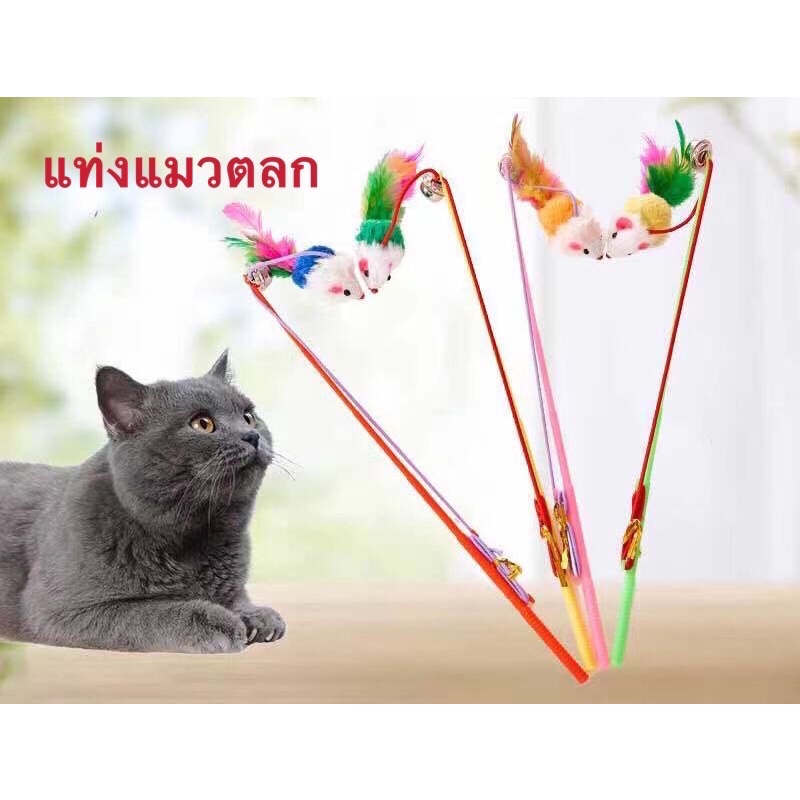 10สี แท่งแมวตลก➕ของเล่นแมว ปลอกคอแมว/หมา+กระดิ่ง ปลอกคอสำหรับสัตว์เลี้ยง Qute cat toy and cat chain with mini bell MXL ราคา ถูกที่สุด ดีลบีเคเค แกลเลอรีภาพที่ 4