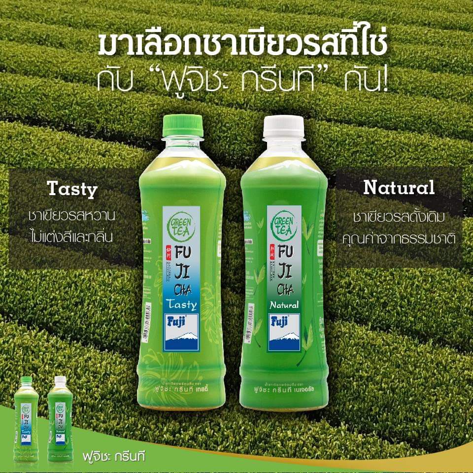 ฟูจิชะ Fujicha น้ำ ชาเขียว เทสตี้ Tasty / Natural