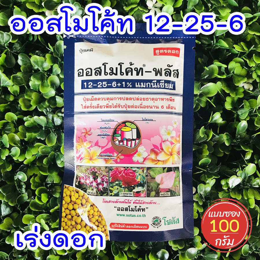 ปุ๋ยแคคตัส (Osmocote) ปุ๋ยเร่งดอก ออสโมโค้ท สูตร 12-25-6 ปุ๋ยละลายช้า ปุ๋ยสูตรเสมอ ปุ๋ยออสโมโค้ท ขนา