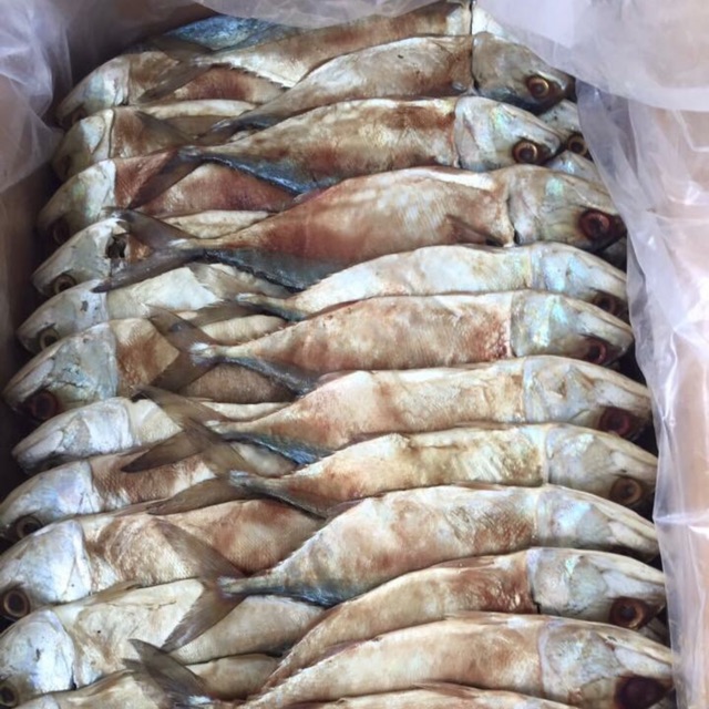❤️ใครยังไม่ลอง ถือว่าพลาดมาก !!❤️ ร้านแนะนำปลาทูหอมเค็ม 1000 กรัม ❤️จัดส่งพรุ่งนี้❤️❤️SP999-2020-68❤️