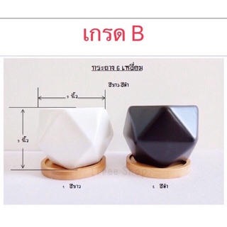 กระถางต้นไม้เกรด B #มีตำหนินิดหน่อย#มีร้อยร้าว