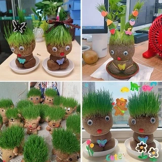 หญ้าแมว ตุ๊กตาหัวหญ้า ตุ๊กตาหญ้า grass head DIY กระถางสร้างสรรค์ ของขวัญ