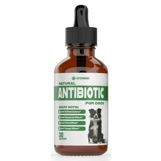 Natural Anti-biotic for DOG เสริมภูมิสุนัข บำรุงฟื้นฟูร่างกาย สกัดจากสมุนไพร ธรรมชาติ ชนิดน้ำ