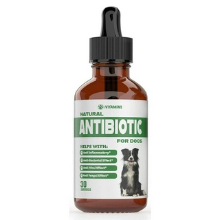 DOG Natural Anti-biotic เสริมภูมิสุนัขป่วย ฟื้นฟูร่างกาย สกัดจากสมุนไพร ธรรมชาติ