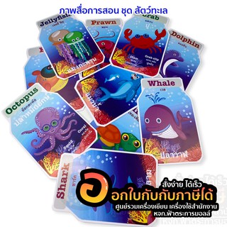 สื่อการเรียนการสอน ชุดสัตว์น้ำ W-2020