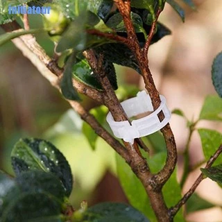 คลิปหนีบต้นไม้มะเขือเทศ 50 ชิ้น