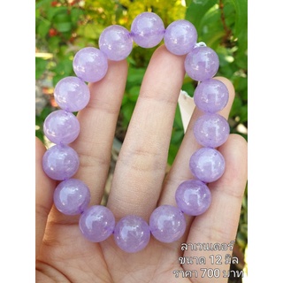 ลาเวนเดอร์อเมทิสต์ Amethyst Lavender