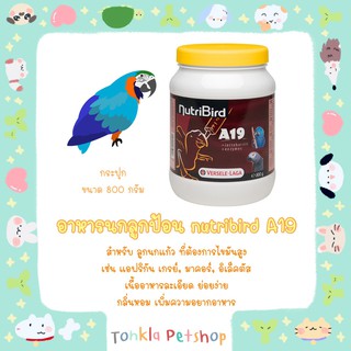 Nutribird A19 อาหารนกลูกป้อน สำหรับลูกนกที่ต้องการไขมันสูง  เนื้ออาหารละเอียด กลิ่นหอม ย่อยง่าย กระปุกขนาด 800 กรัม