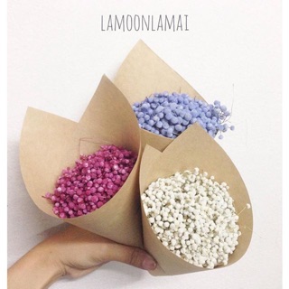 ดอกไม้แห้งละอองดาว สีขาว (อยู่ได้นานหลายปีจ้า)