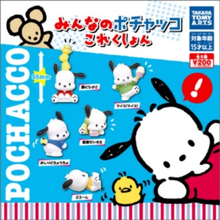 *พร้อมส่ง* กาชาปอง โมเดล โปเชโกะ  Pochacco งานญี่ปุ่นแท้ มือ 1