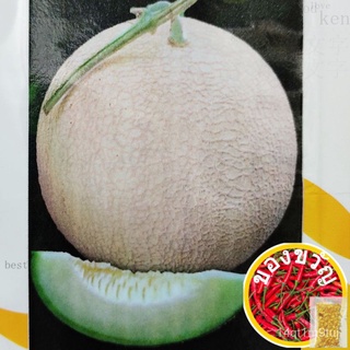 10pcs Biji Benih Tembikai Susu / Honey Dew Seeds / Fruit Seed / Buah​​กระโปรง/เสื้อ/แอปเปิ้ล/กางเกง/สวน/มักกะโรนี/สร้อยข