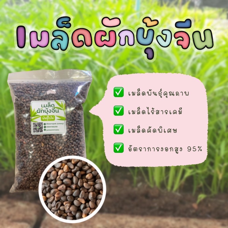 เมล็ดพันธุ์ผักบุ้งจีน ใบไผ่เรียว ขนาดบรรจุ1กก.