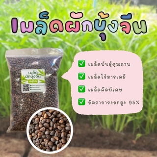 เมล็ดพันธุ์ผักบุ้งจีน🌱ใบไผ่เรียว🌱ขนาดบรรจุ1กก.