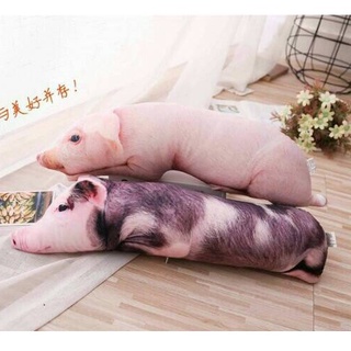 หมอนหมู 3 มิติ ขนาด 50-70 cm. ทรงนอน