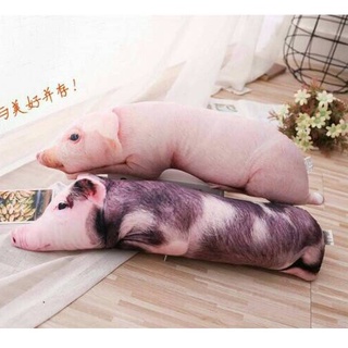 หมอนหมู 3 มิติ ขนาด 50-70 cm. ทรงนอน