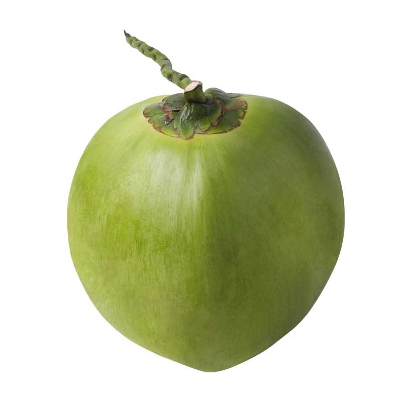 เจฟรุ้ต (Jfruit) มะพร้าว เกรด A เกรดส่งออก ราคาส่ง 4500 ลูก ส่งฟรีจากสวนเอมไทย