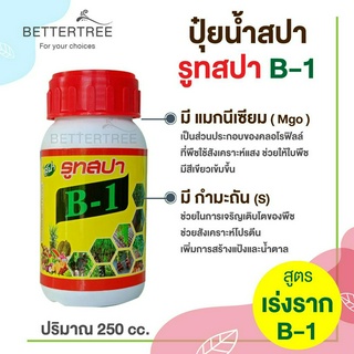 รูทสปา B1 ROOT SPA สารเรียกราก น้ำยาเร่งราก ปุ๋ยเร่งราก ปุ๋ย ปุ๋ยน้ำ fertilizer