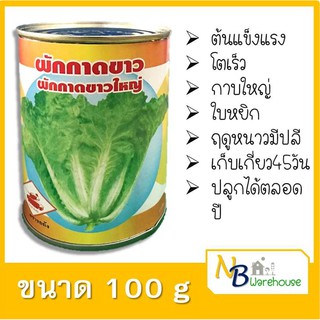 ผักกาดขาว  (ตรารถถัง) ผักกาดขาวใหญ่ ( 100กรัม ) 0013