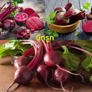 เมล็ดพันธุ์ หัวบีทรูท ดีทรอย (Detroit Dark Red Beet) บรรจุ 100 เมล็ด