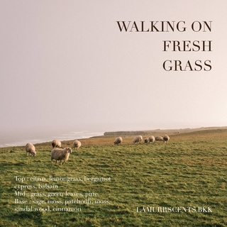 90g  WALKING ON FRESH GRASS  เทียนหอม LAMURR official Scented Candle