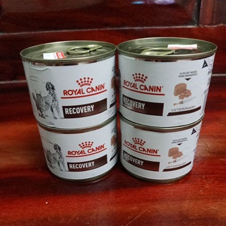 Recovery อาหารเพื่อการพักฟื้นสำหรับสัตว์ป่วยสุนัขและแมว195กรัม.