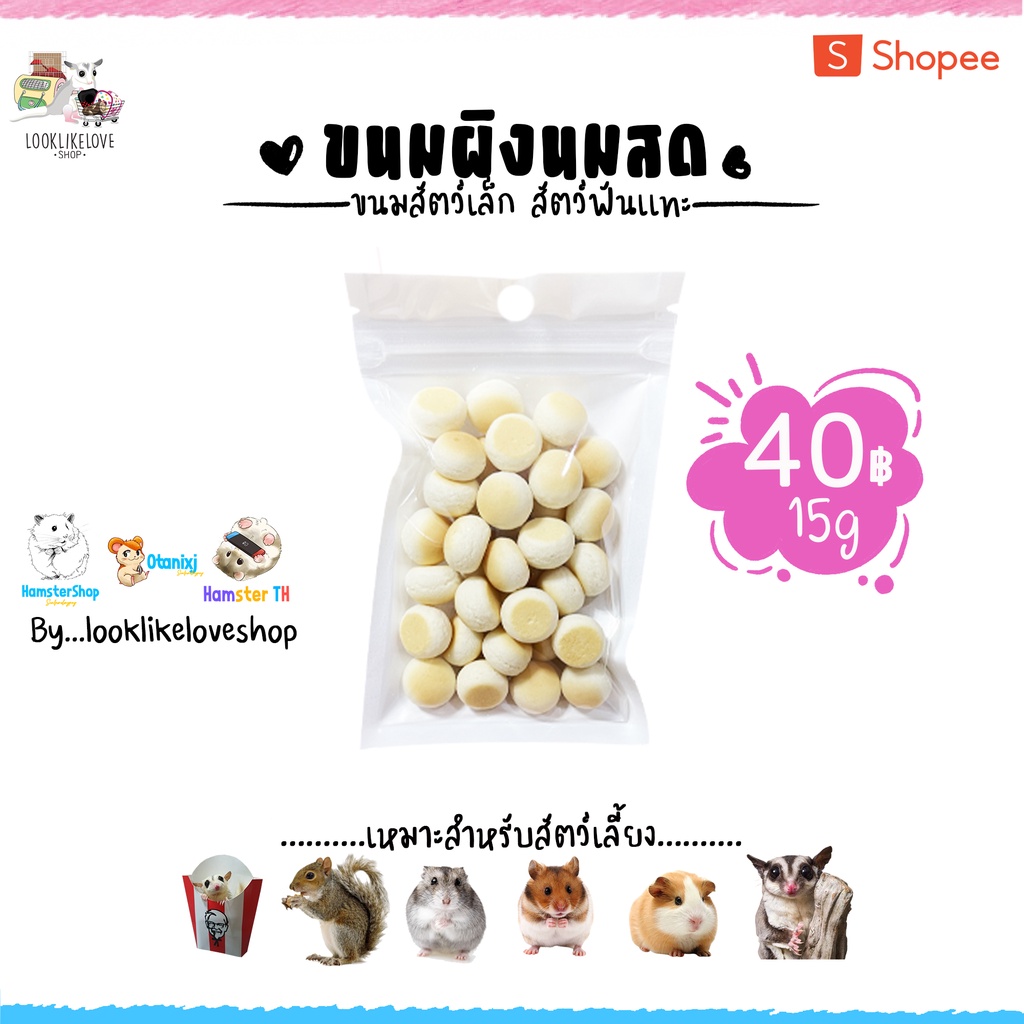 ขนมผิงนมสด ขนมแฮมเตอร์ ชูการ์ กระรอก แฟตเทล ดัมโบ้ โลโบ สัตว์ฟันแทะอื่นๆ