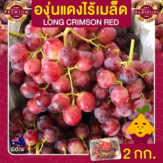 องุ่นไร้เมล็ด  องุ่นแดง 2 กก. นำเข้าจากออสเตรเลีย องุ่นนำเข้า Grapes องุ่น ผลไม้สด ส่งฟรี