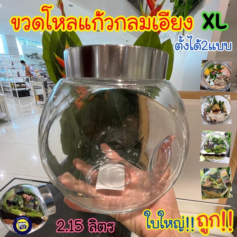 โหลแก้ว ทรงกลมเอียง xl ขนาดใหญ่ ขวดโหลแก้ว จัดสวน ถูกมาก 2.15 ลิตร โหลใส กระปุก