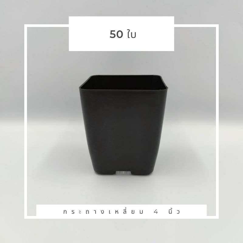 กระถาง 4 นิ้ว กระถางสี่เหลี่ยม แพ็ค50ใบ กระถางกระบองเพชร กระถางแคคตัส