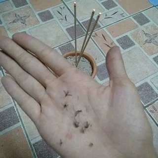 ✅ส่งฟรี✅ ธูปไล่ยุง ตรามังกร ธูปฆ่ายุง ธูปหอมสมุนไพร กันยุง ไม่อันตราย กลิ่นไม่ฉุน ใช้นอกบ้าน ในบ้าน พื้นที่โล่ง ปลอดภัย