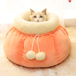 สัตว์เลี้ยงแมวรังรังของแมวcattery