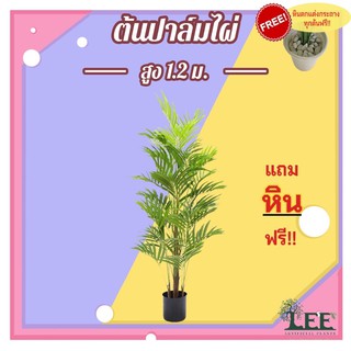 ต้นไม้ปลอมตกแต่งบ้าน ต้นปาล์มไผ่ 1.2 เมตร  (ก9)